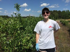 Hailey McCleneghen is helping to collect leaves for DNA extraction in a blueberry farm.