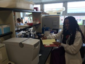 Elisheba is using a bioanalyzer to measure quality and quantity of a blueberry genomic library,